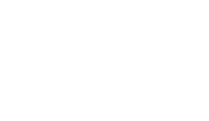 Sol Skipper