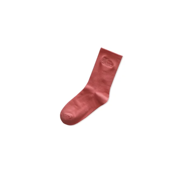 Sol Skipper "Rainbow Chaser" socks