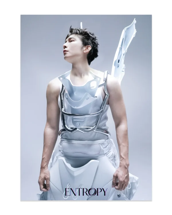 Sol Skipper "Entropy" poster